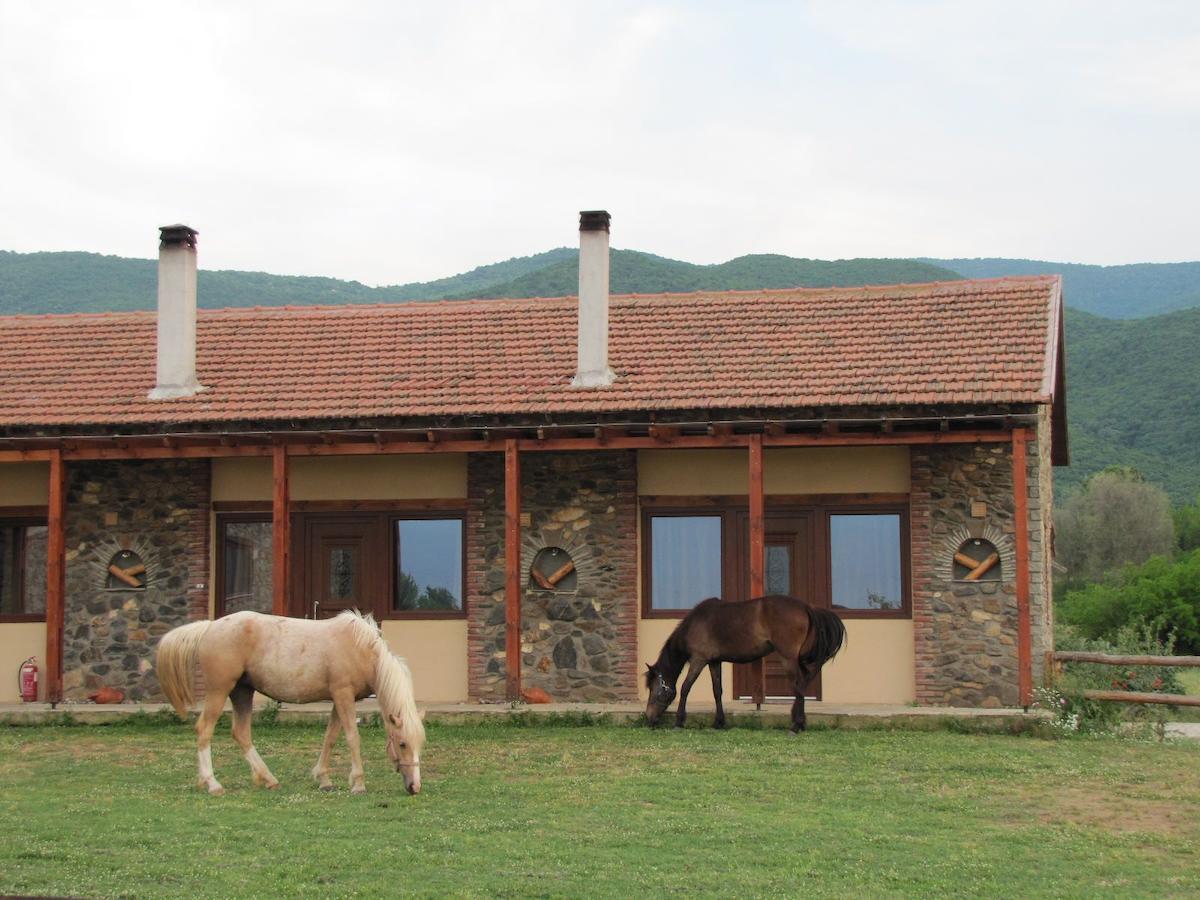 Ihnilatis Bed & Breakfast Kerkini Luaran gambar